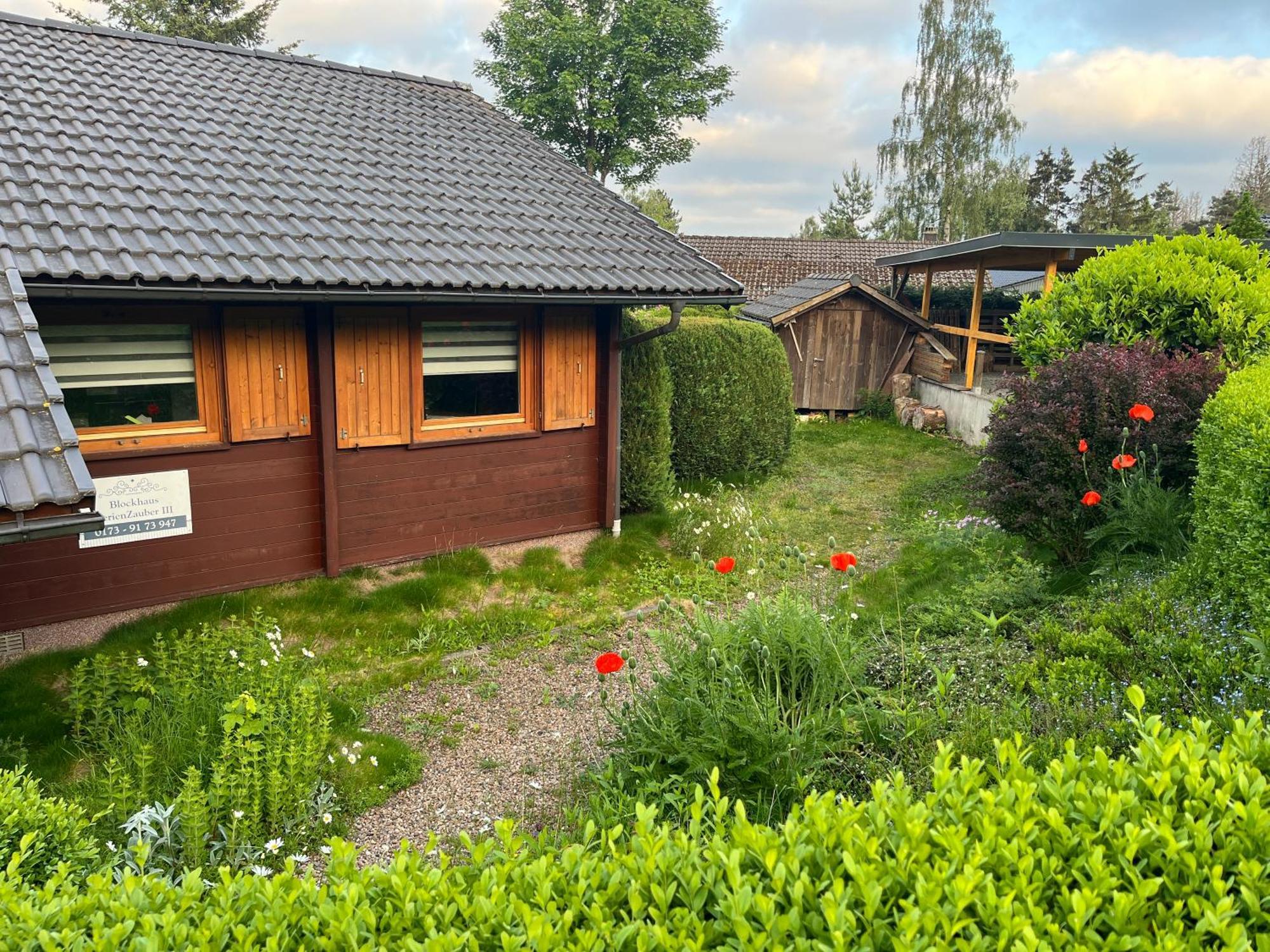 Villa Blockhaus FerienZauber III Bromskirchen Exterior foto